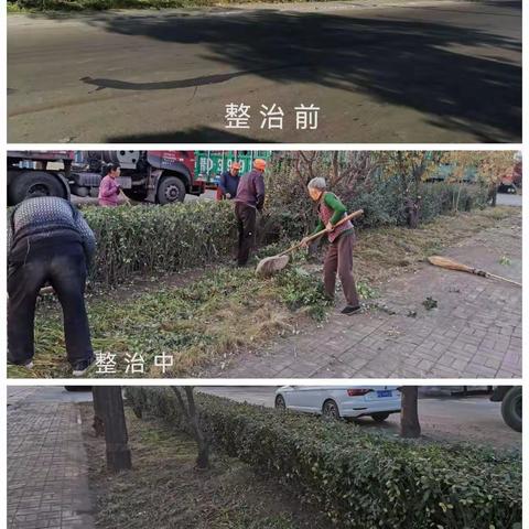 丹朱镇北刘片10月22日工作简报