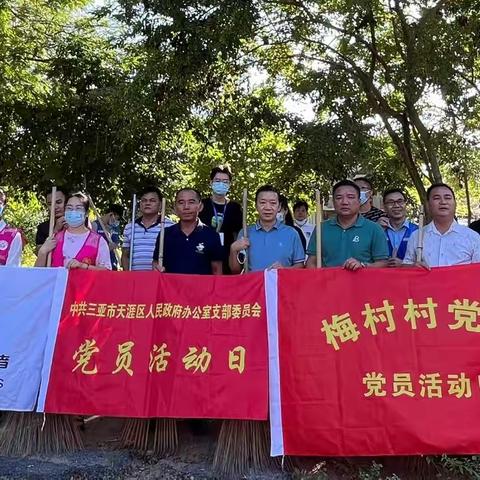 天涯区政府办党支部联合梅村党总支部开展创文巩卫党日活动