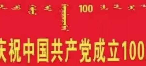 【奋进百年路   启航新征程】银定图镇热烈庆祝中国共产党成立一百周年系列活动