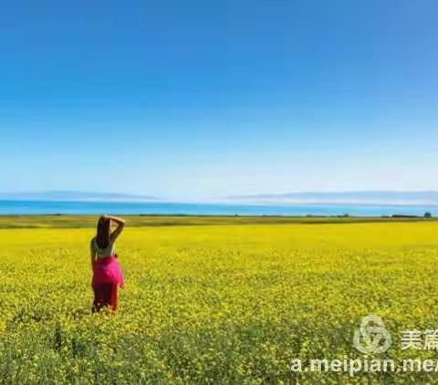 清凌凌的水 蓝莹莹的天