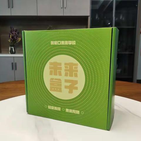 探究影响反冲小车运动的因素