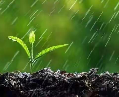 二十四节气--雨水