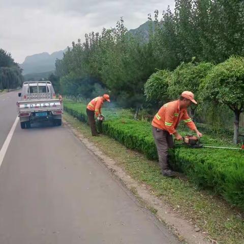 涉县交通运输局公路管理站 开展绿化修剪 美化路域环境