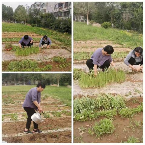 大手拉小手，携手共建实验小学劳动实践基地。