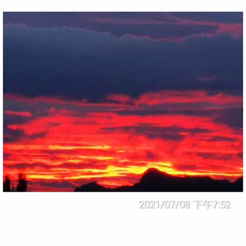 手机随手拍之八