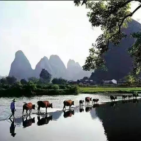 山村记忆之一：吉阳山下