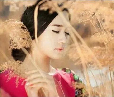 《秋 韵》作者：杨柳岸边