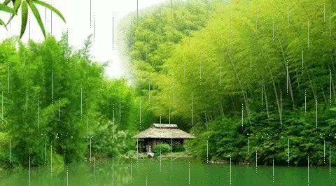 《竹畔花开月又明》作者/杨柳岸边  诵读/北方
