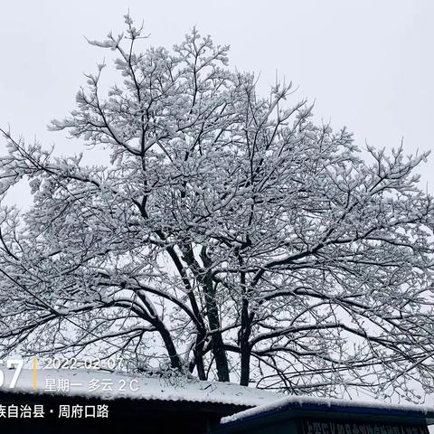 正月初七江南赏雪