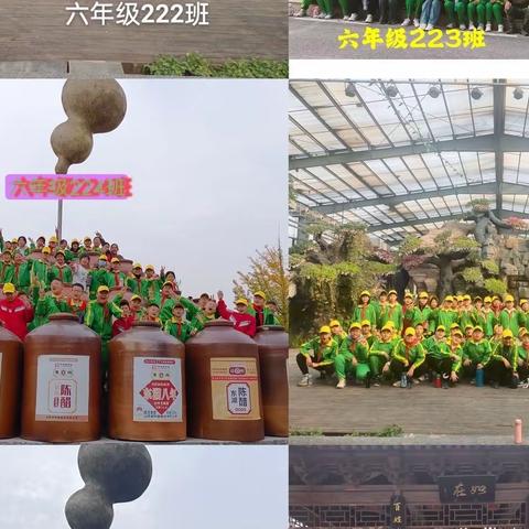 快乐于行 研学于心 ——泰山庙街小学六年级研学纪实 2023.10.15