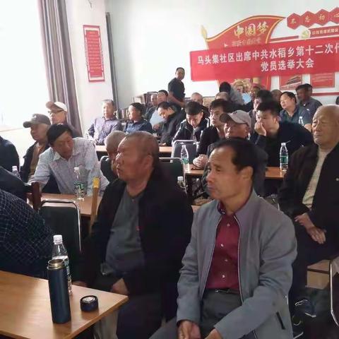马头集社区党支部开展5月份“5+N”党日活动