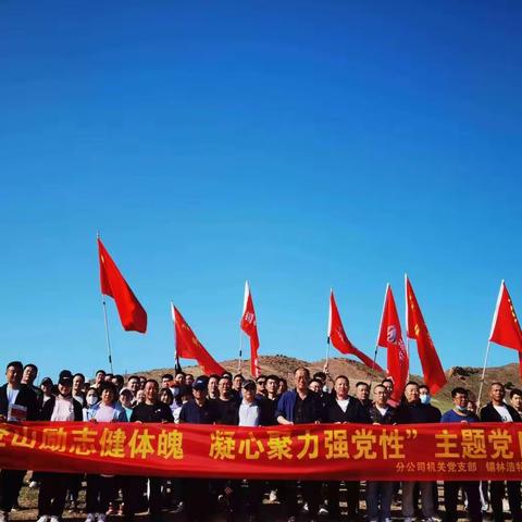 登山励志健体魄 凝心聚力强党性”主题党日活动