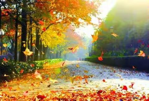 我和秋天有个约会 ----花园小学一年级十九班开展制作树叶画活动