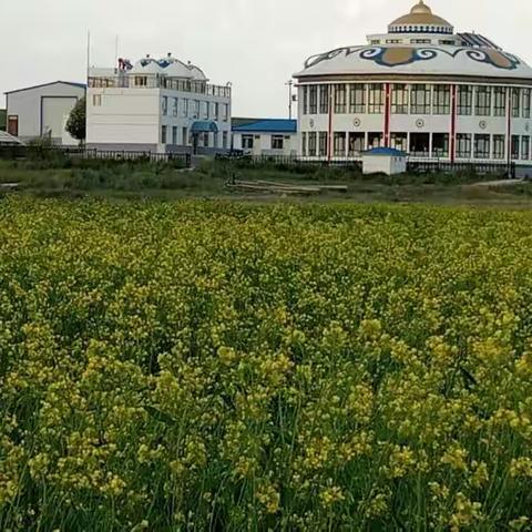 希拉穆仁草原