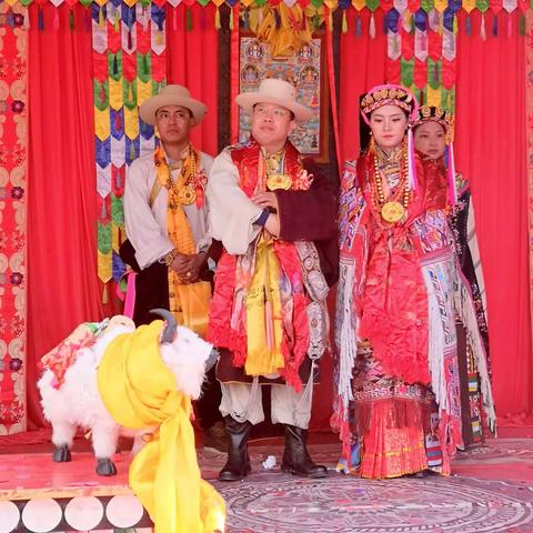 藏族 婚礼 庆典