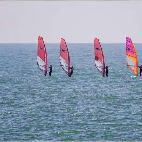 全国青年帆板锦标赛在大连将军石举行