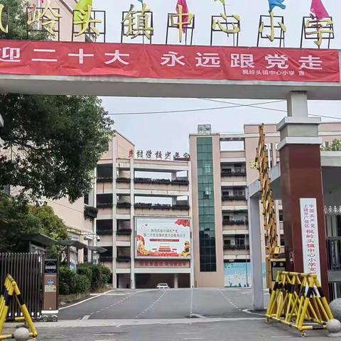 强国复兴共赴二十大，尚美教师奋进新征程——枫岭头党员教师集中观看二十大开幕盛况