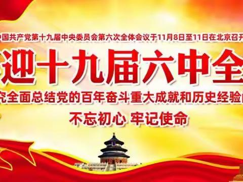 深入学习贯彻党的十九届六中全会精神 以更加昂扬姿态迈进高质量发展新时代