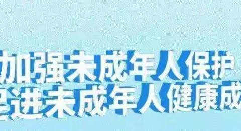 朱砂镇小岗村 “阳光护苗”关爱未成年人普法行活动进校园