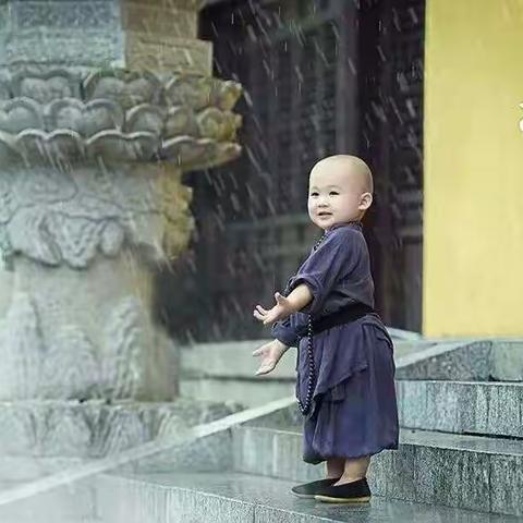 岁月静好的美篇