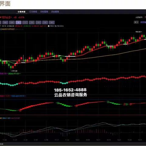 云品农销创新模式现象级产品开启农特产品供应链交易新征程