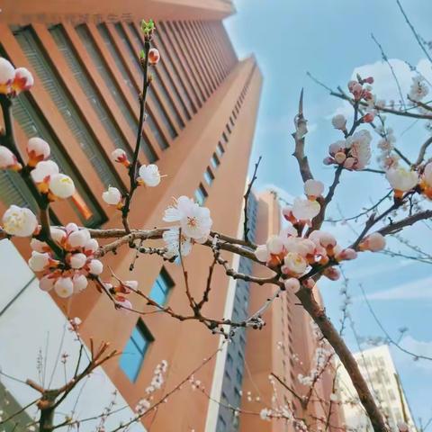 置地公馆4月份工作展示