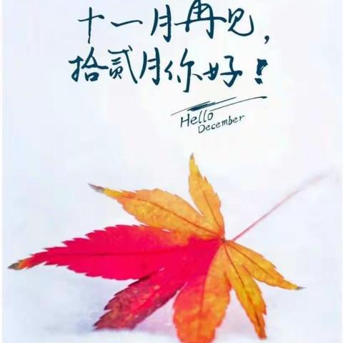 置地公馆11月份工作展示