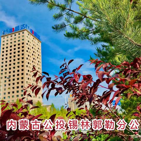 锡林郭勒分公司职工诗赋集锦                                   （第144期）