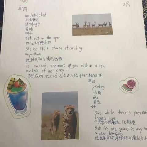 杨帆第四次作业（全部完成）