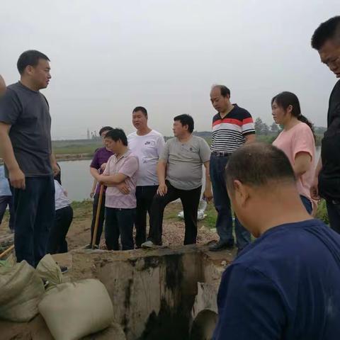 封堵沙河市与南和县交界处开发区非法雨污分流口 