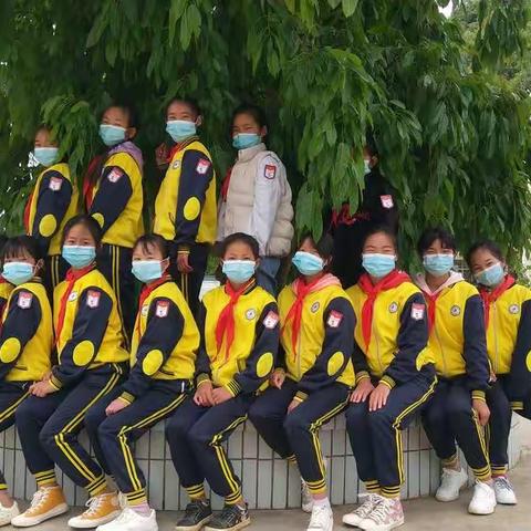 春暖花开，我们相约校园