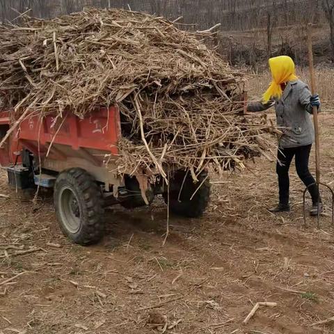 港沟街道农村人居环境整治工作日志