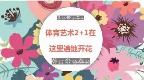 享艺术之美 健强壮之体 扬自信之帆—塔城市第六中学体艺“2+1”活动展示简记