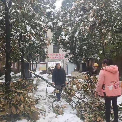 “铲雪除冰护校园 爱生行动暖人心”——南岳庙镇中心小学铲雪除冰大行动