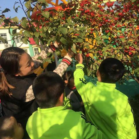 海丰街道幼儿园快乐采摘😊我摘☀️我乐🍎我享受🍓🍒🍎