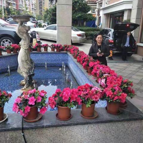 时光容易把人抛