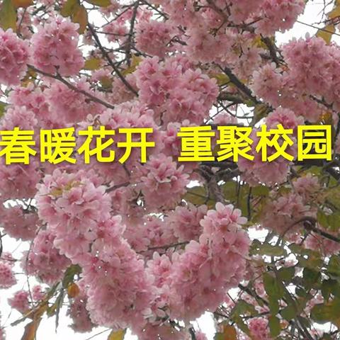 春暖花开  重聚校园  ----蒙自三中2020年春季学期八年级部开学纪实