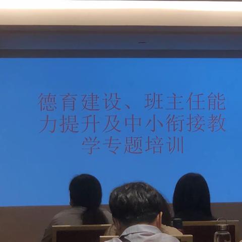 德育建设、班主任能力提升及中小衔接教育专题培训——石各庄小学观摩纪实