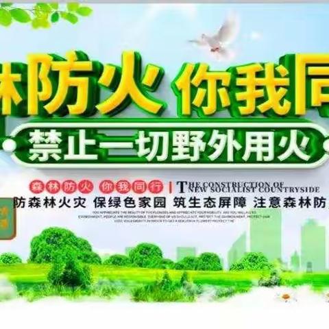 关山林场杏咀庙检查站:思想构筑防火线，收心尽责保安全