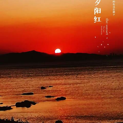 浅韵《恋夕》插曲（人无再少年）