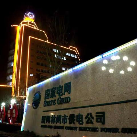 国网林州市供电公司：护电网稳定 保万家灯火