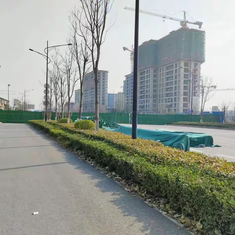 禹王台区城市围挡专项整治工作开展情况12.1-12.7