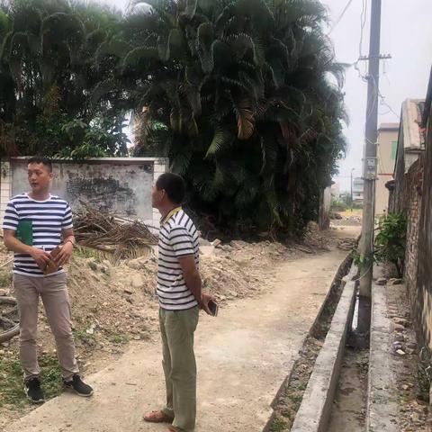 瑞溪镇番丁村工作队28日工作志