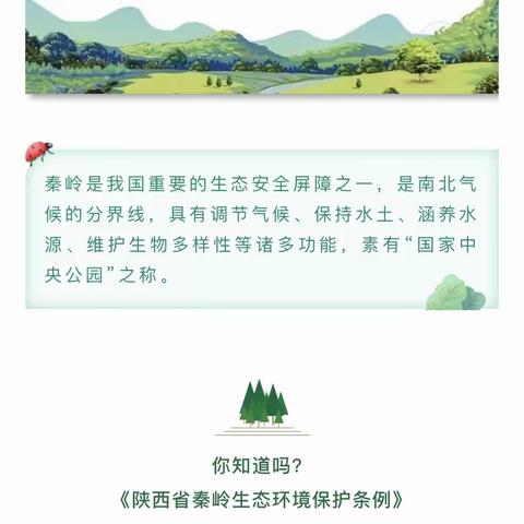 “当好秦岭生态卫士 保护秦岭生态环境”——西安市鄠邑区幼儿园开展暑期秦岭生态保护活动