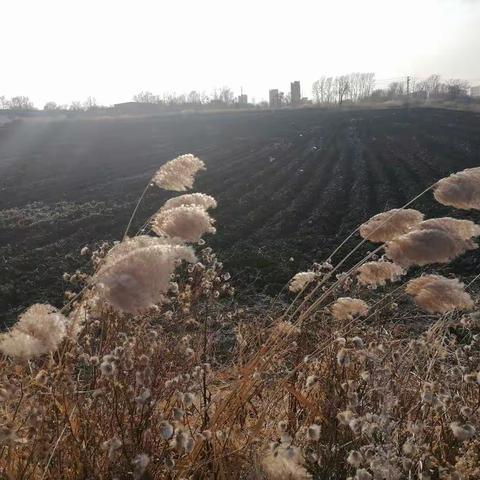 电视片《烽火南北河》拍摄纪实之二《采访张卓亚》
