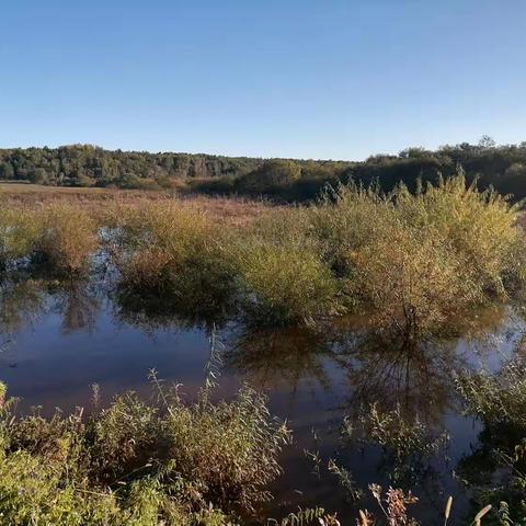 电视片烽火南北河第一集铁血抗联