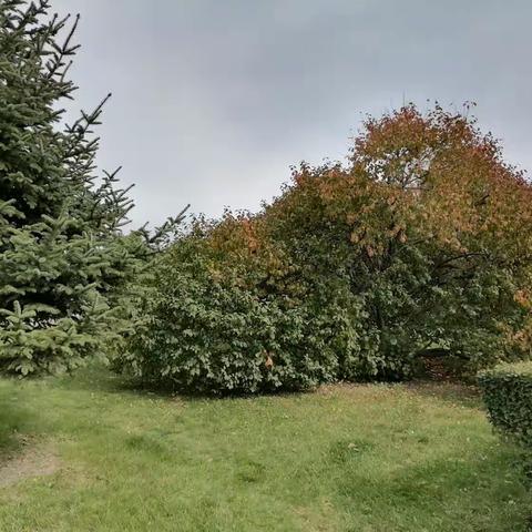 第九集鱼水情深