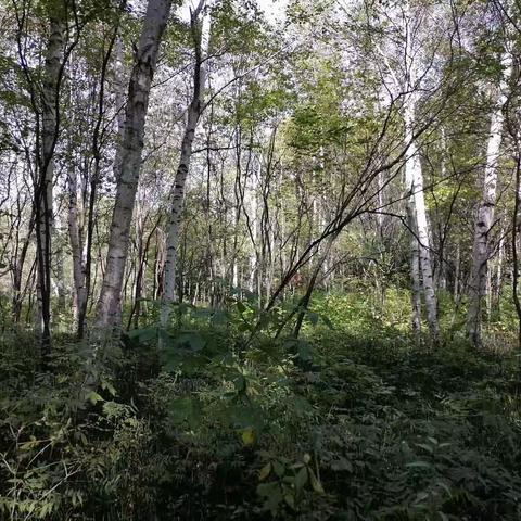 电视片烽火南北河第五集扬名之战