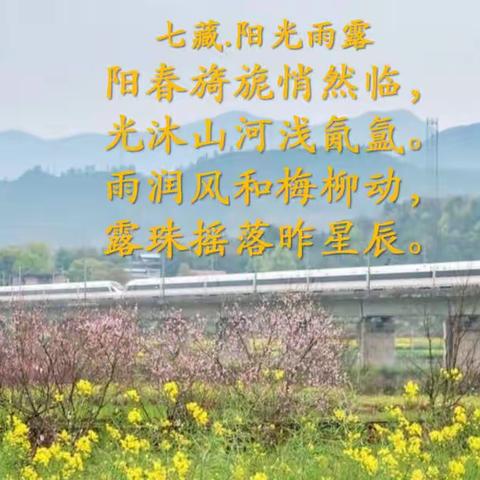 七藏.阳光雨露