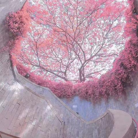 播种有时，成长有时